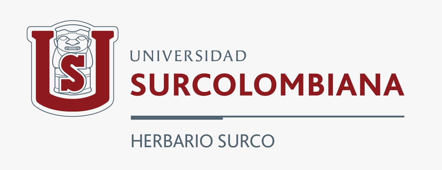 Universidad SurColombiana